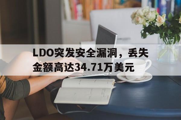 LDO突发安全漏洞，丢失金额高达34.71万美元-九游体育