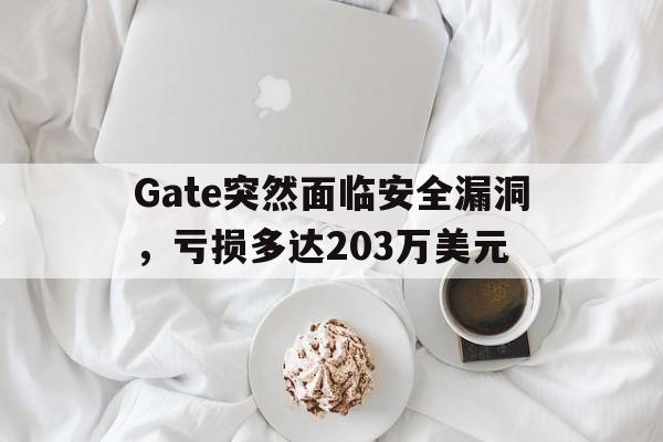 Gate突然面临安全漏洞，亏损多达203万美元-九游体育官网